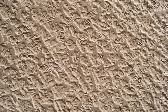 Sand Tracks