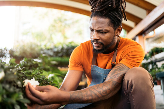 Man Weeding At Greenhouse