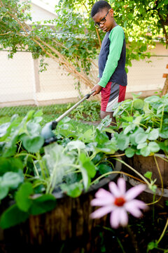 Mopey young boy watering strawberry plants