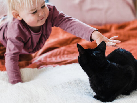 Toddler reaching out to cat