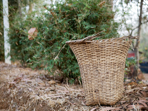 Garo traditional bamboo basket - Kokcheng