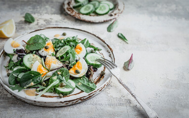 salad with fresh cucumbers, herbs, soft boiled eggs and lemon dressing on ceramic plate, seasonal healthy eating concept, copy space
