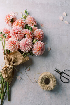 Bouquet of pink dahlias