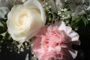 Flower close up
