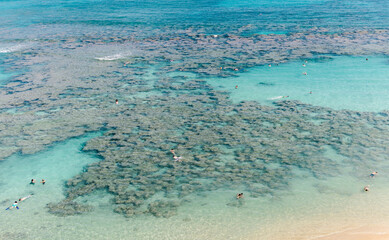 Aerial view of coral riff in Hanauma Bay in Oahu Island in Hawaii