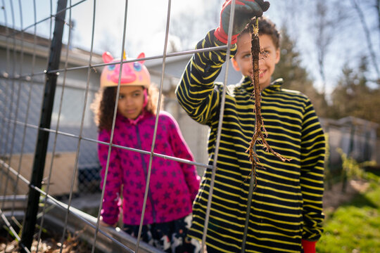 Boy and girl holding up tap root from garden