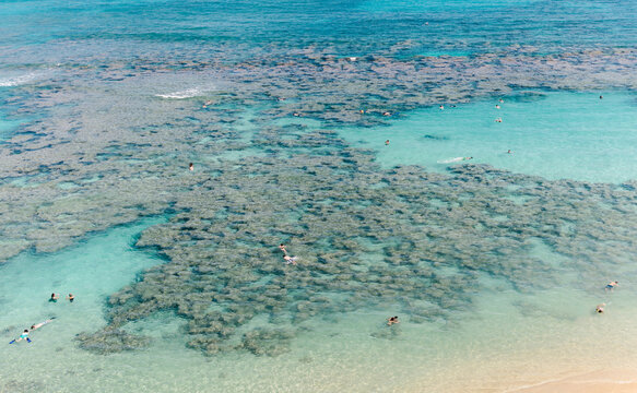 Aerial view of coral riff in Hanauma Bay in Oahu Island in Hawaii