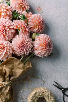 Bouquet of pink dahlias