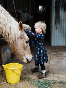 Little girl plays with an old horses forelock