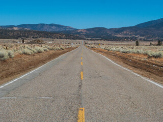 Looking Down The Middle Of A Long Asphalt Country Road