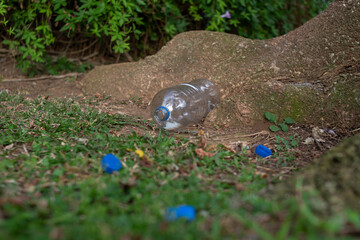 plastic bottles thrown away in a park on the green grass, pollution, recycling.