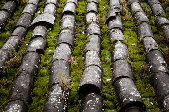 The tile roof of an ancient village in Lijiang, Yunnan