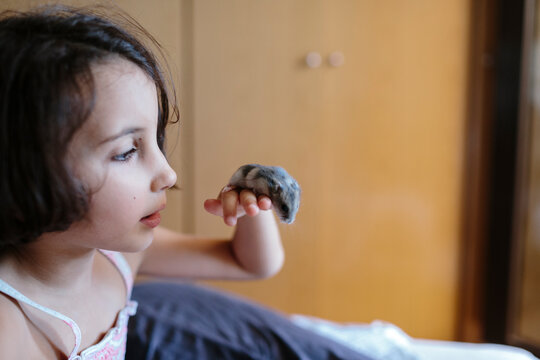 Little girl holding a small hamster in her hand