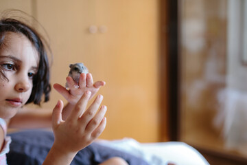Kid watching curious a hamster on her hand
