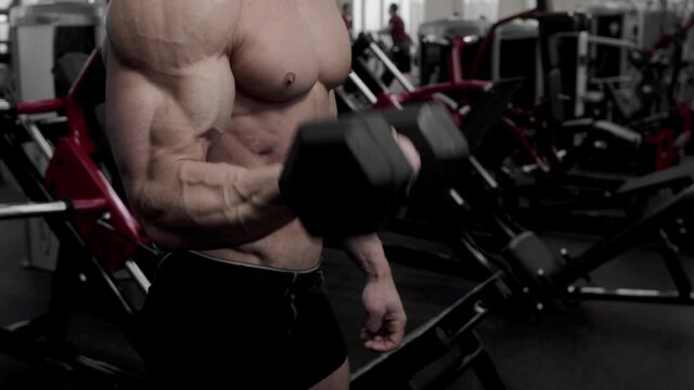 Bodybuilder training using dumbbells. Fit and sporty bodybuilder in gym. Sport and fitness