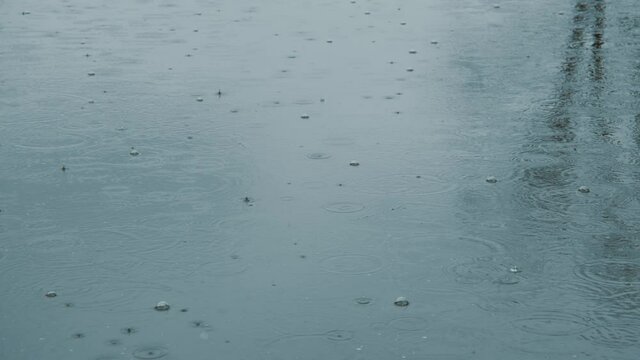 Lake surface in the rain. Tree reflection from the other side. 4K 50fps.