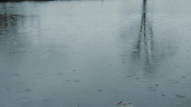 Lake surface in the rain with some leaves and debris on the surface. Tree reflection from the other side. 4K 50fps.