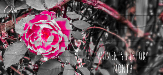 March is Women's history month with flower background.
