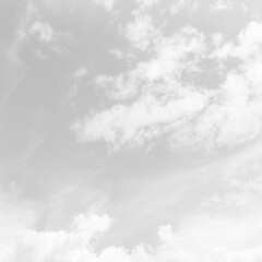 White cloudy sky for background.