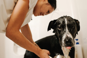 a woman gives a dog a bath