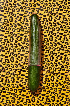 cucumber wearing condom