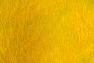 Yellow fluff background wall