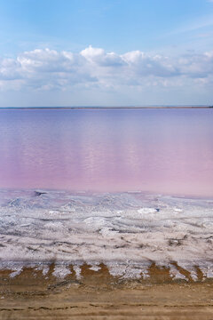 Amazing landscape of salt lake with pink water
