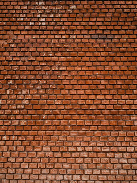 Fototapeta Texture of red brick wall in the city