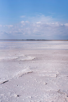 Shore of pink salt lake under blue sky