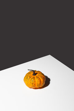 pumpkin alone