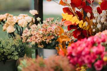 Close-up of fresh flowers in buckets
