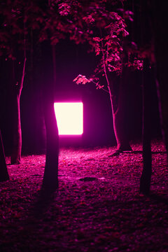 Neon violet square in the woods