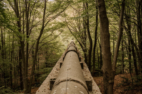 Old abandoned pipeline in the middle of forest during autumn