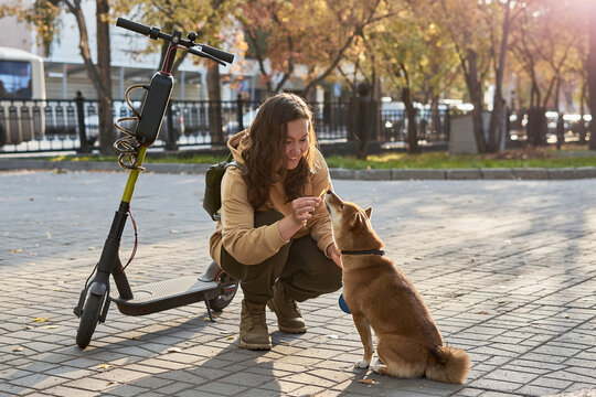 Woman and hound next to electro scooter