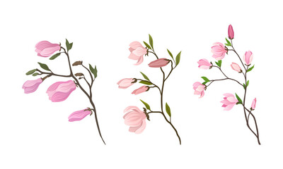 Floral Twigs and Branches with Tender Flower Buds and New Leaves Vector Set