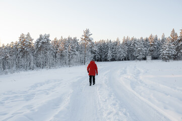 A man in a red jacket walks through the snow in the winter in the forest