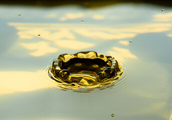 Water drops frozen at high speed in golden pool of water showing surface tension and droplet...