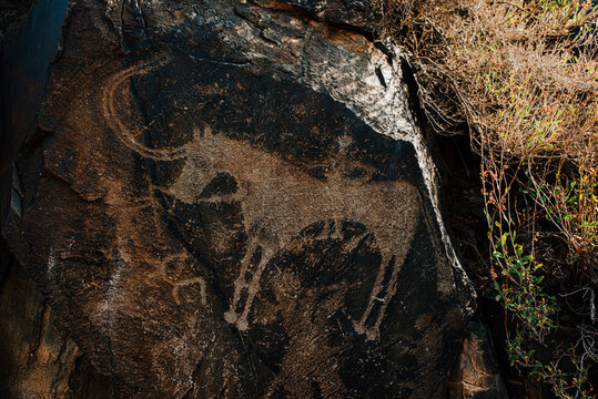 petroglyph, Kazakhstan