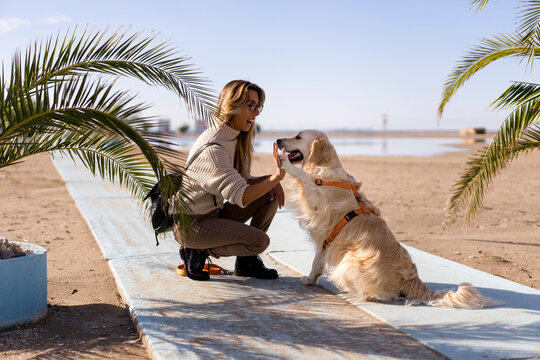 Woman with her Golden Retriever Dog outdoor