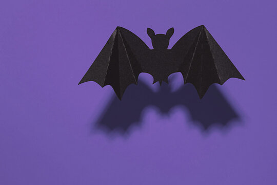 Halloween bat