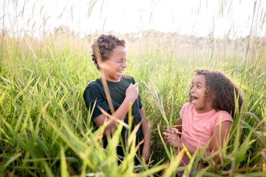 Siblings laugh at each other in field