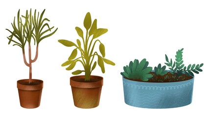 Grunge hand drawn pencil chalk illustrations of pots with plants. Green house plants illustration.