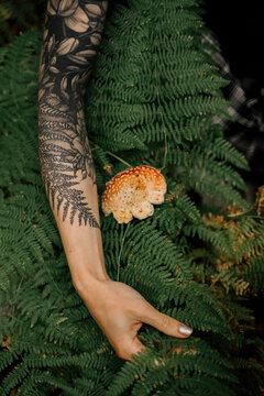 Closeup view of a fern tatto on woman arm in forest next to real fern and mushroom