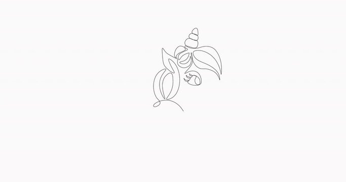 Self Drawing of one line Horse Unicorn. Self-drawing a simple animation of one continuous line. 4K Stock video Animated sketch vector drawing.  One line drawing of magical unicorn. 