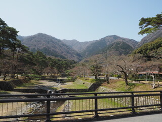 初夏の養老山の登山風景