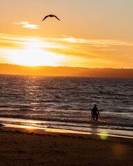 Atardecer en la playa.