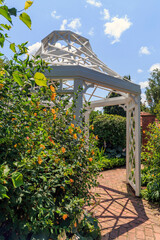 Garden with a white gazebo