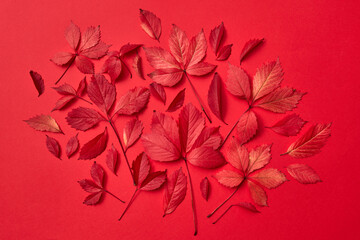 Natural fallen autumn leaves collage of red color.