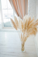 Vertical image of some branches of pampas grass in vase on light gray background. Modern trendy...