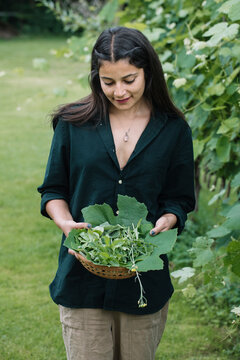 Young Indian Woman Harvesting Wine Leaves Outdoors For Handmade Dolmadakia